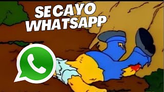 Se Cayo WhatsApp [upl. by Birkett]