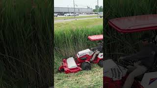 Tough Cut Mows Down Extremely Tall Grass [upl. by Fitton]