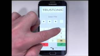 Showing the Trustonic Trusted User Interface [upl. by Rehpotsirhc]