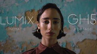 MINIMAL  Panasonic Lumix GH5 Cinematic Footage 2021 [upl. by Debra]