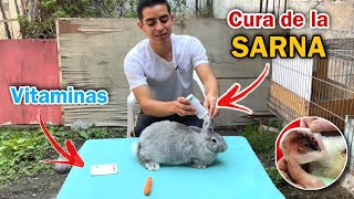 Cómo curar la SARNA en los conejos 💉 Qué VITAMINAS damos 💊 🐰🤠 [upl. by Aeuhsoj805]