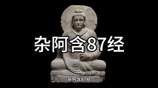 杂阿含87经，中文白话翻译。（87） [upl. by Mcgurn]