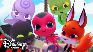 Miraculous Ladybug  Meet the Kwamis ✨ Disney Channel UK [upl. by Norit]