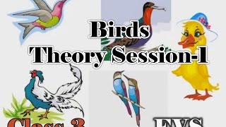 Class iii science birds session1 for kids tutorials [upl. by Harihs]