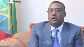 Interview with HE Demeke Mekonnen on current issues  Walta [upl. by Caffrey]