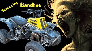 Banshee Build First Start First Ride [upl. by Oiracam]