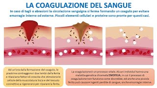 LA COAGULAZIONE DEL SAUNGUE [upl. by Mayram]