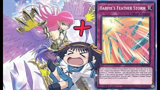 Harpie Feather Storm  Cyber Slash Harpie make my opponent QUIT [upl. by Lettie484]