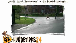 Online Hundetraining Die Hundeschule im Internet [upl. by Dnalwor]