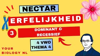 4 vwo  Erfelijkheid  3  Dominant amp Recessief [upl. by Missi]