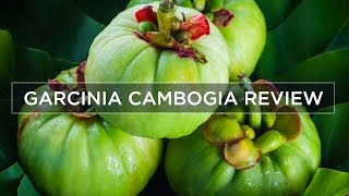 Garcinia Cambogia Weight Loss amp Side Effects  Review [upl. by Hanser675]