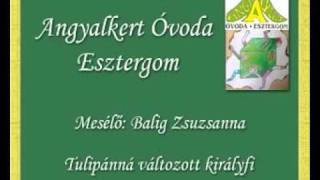 Tulipánná változott királyfi [upl. by Ilbert]