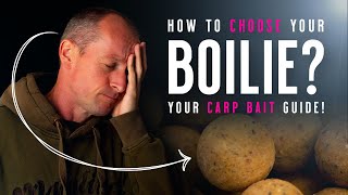 HOW TO CHOOSE A BOILIE Carp Fishing Baits Knowhow Your Bait Guide Mainline Baits Carp Fishing TV [upl. by Hairym]