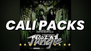 FREE Mazza L20 x Potter Payper  Type Beat  quotCali Packsquot  UK RapTrap  2024 [upl. by Lizzie]