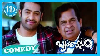 Brindavanam Movie Back2Back Comedy Scenes  Jr NTR  Samanatha  Kajal [upl. by Ecneitap526]