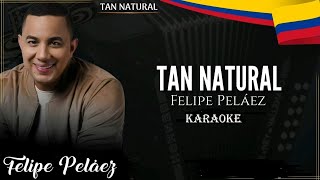 Tan Natural  Felipe Pelaez INSTRUMENTAL  PIANO KARAOKE😍🥰🐾🧡❤❤❤🧡 [upl. by Faustena]