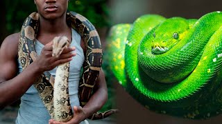 10 SNAKES You Can Have As A PET 🐍 [upl. by Tisdale25]