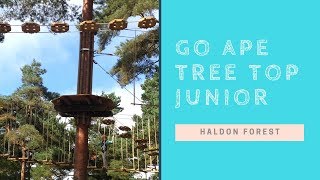 Go Ape Tree Top Junior at Haldon Forest Exeter [upl. by Uamak]