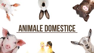 Animalele domestice si sunetele lor [upl. by Smaj]