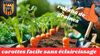 Découvrez comment semer des carottes sans éclaircissage  Un gain de temps incroyable 🥕🥕 [upl. by Landel]