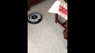 Roomba vs Vileda [upl. by Nahtiek]