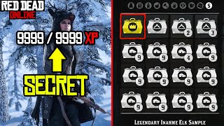 SECRET Naturalist Role Fast Leveling Guide Red Dead Online Update DLC [upl. by Onairam]