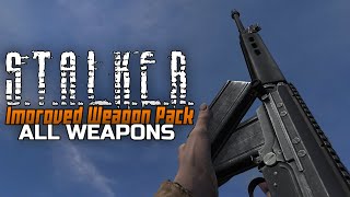 STALKER Improved Weapon Pack  All weapons reload animations [upl. by Maletta406]