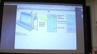 6 Kevin Aherns Biochemistry  Protein Purification I [upl. by Sine]