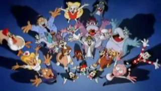 animaniacs intro completo [upl. by Niltac]