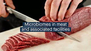 Characterizing microbial communities in meat and meat processing plants [upl. by Herrick]