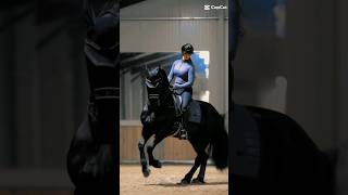 Lusitano doing dressage looks gorgeous ✨️❤️🐎 viral trend love horses edit dressage Lusitano [upl. by Dieterich830]