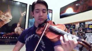 11 Lord of the Rings Themes on Violin [upl. by Ettennan]