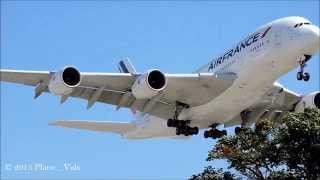 Heavy Planes landing at LAX International Airport [upl. by Naimerej]