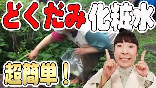 【スキンケア】森三中村上が愛用！手作りでどくだみ化粧水作ってみた！【娘ちゃんも出演】化粧水手作り簡単にできます！ [upl. by Markman]