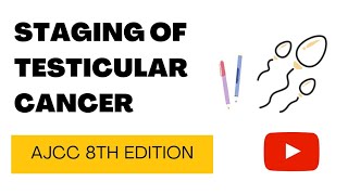 STAGING OF TESTICULAR CANCER  made easy [upl. by Ahsiya653]