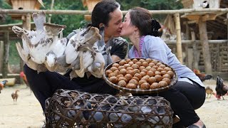 03 years living in the forest raising wild boars chickens and ducks  vang hoa [upl. by Lukey997]