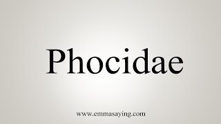 How To Say Phocidae [upl. by Erreit]