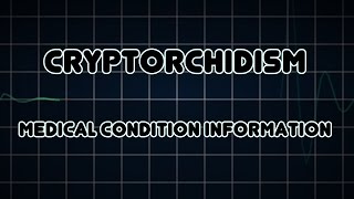 Cryptorchidism Medical Condition [upl. by Thackeray]