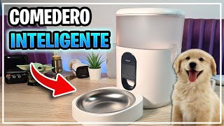 🔴 Comedero dispensador AUTOMÁTICO Inteligente para MASCOTAS🐕 Aqara Pet Feeder C1 [upl. by Shepley]