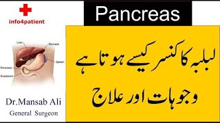 Lablaba  Pancreas Cancer Healthy With Dr Mansab Ali [upl. by Nart]