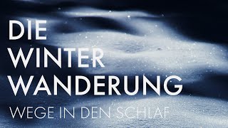 WUNDERSCHÖNE FANTASIEREISE ZUM EINSCHLAFEN 🌜Minddrops APP [upl. by Teodor]