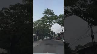 Jalanan Angsana Heliconia Graha Kartika Indah di pagi hari [upl. by Vardon]