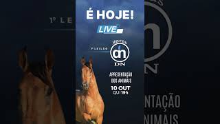 É HOJE  LIVE DE APRESENTAÇÃO DOS ANIMAIS HARAS DN [upl. by Oirifrop]