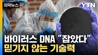 자막뉴스 국내 연구진의 놀라운 기술력 획기적으로 감염 밝혀내  YTN [upl. by Nilrem352]