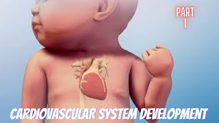 How cardiovascular system develops in our body Part 1 [upl. by Bradski]