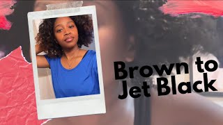 Fall Hair Color Brown to Jet Black Dye on Natural Hair [upl. by Aiouqahs]