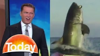 Aussie TV hosts hilarious reaction to shark footage [upl. by Yeo]