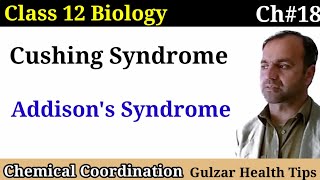 Cushing Syndrome  Addisons syndrome  Chemical coordination  Class 12 Biology [upl. by Aisor]