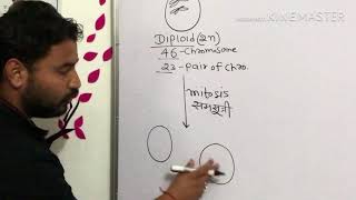 Concept of diploid and haploid cell Simplify your biology [upl. by Yroger]