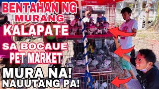 BENTAHAN NG KALAPATE SA BOCAUE MURA NA NAUUTANG PA LUPET [upl. by Elvera]